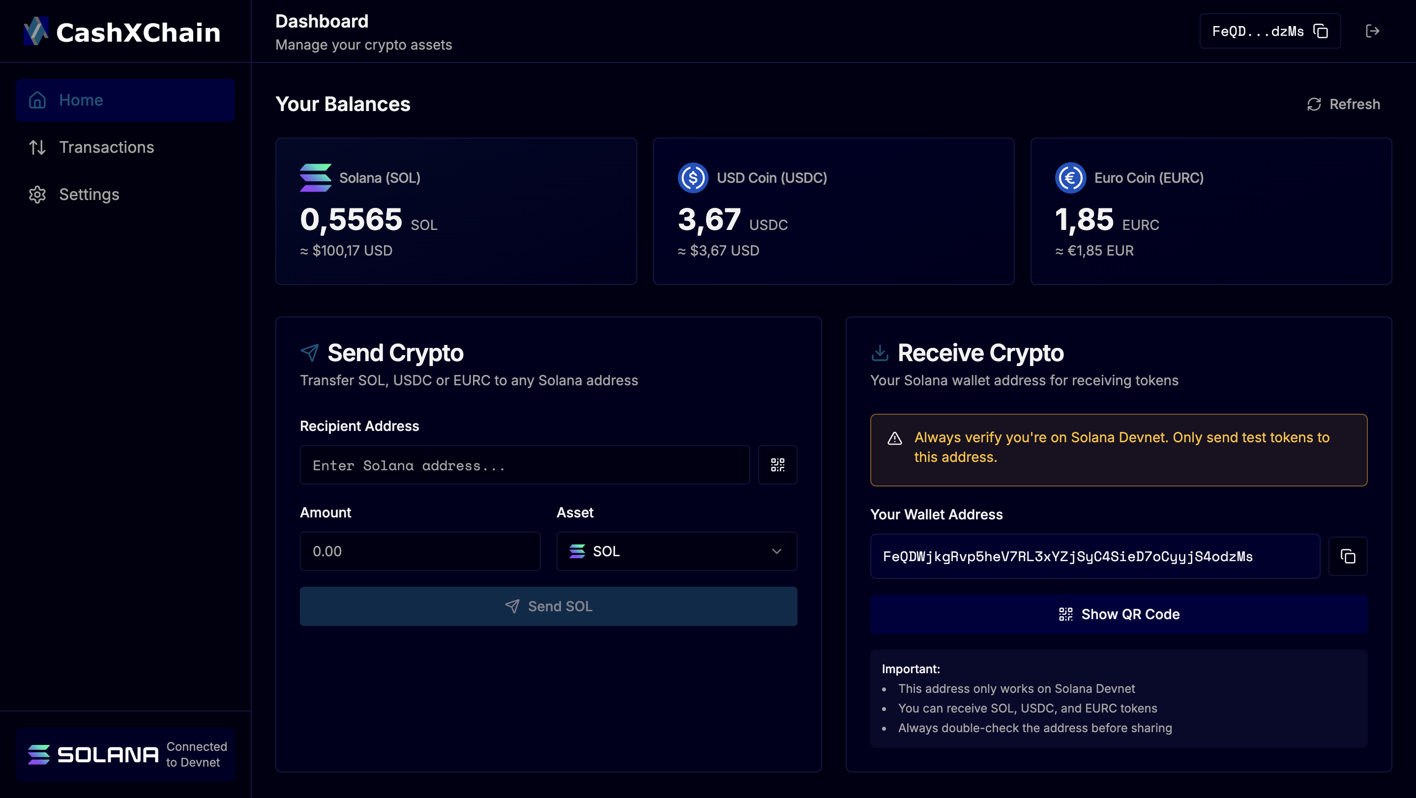 CashXChain dashboard dark mode